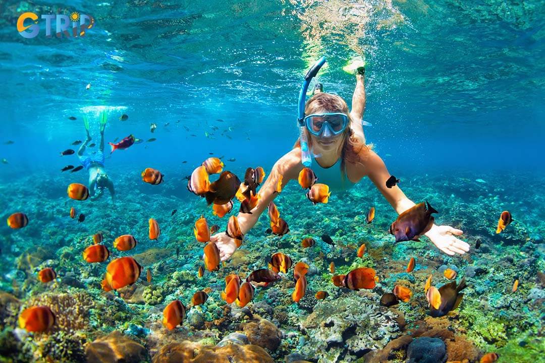 Tourist takes pictures with fish while she is snorkelers in Tuan Chau Beach