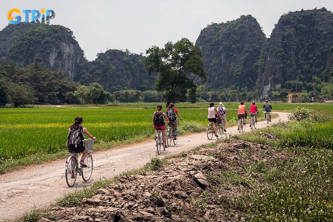 Tourists are cycling through the countryside in Ninh Binh