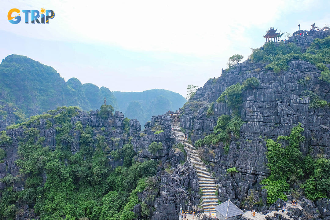 Tourists are hiking to the top of Mua Cave