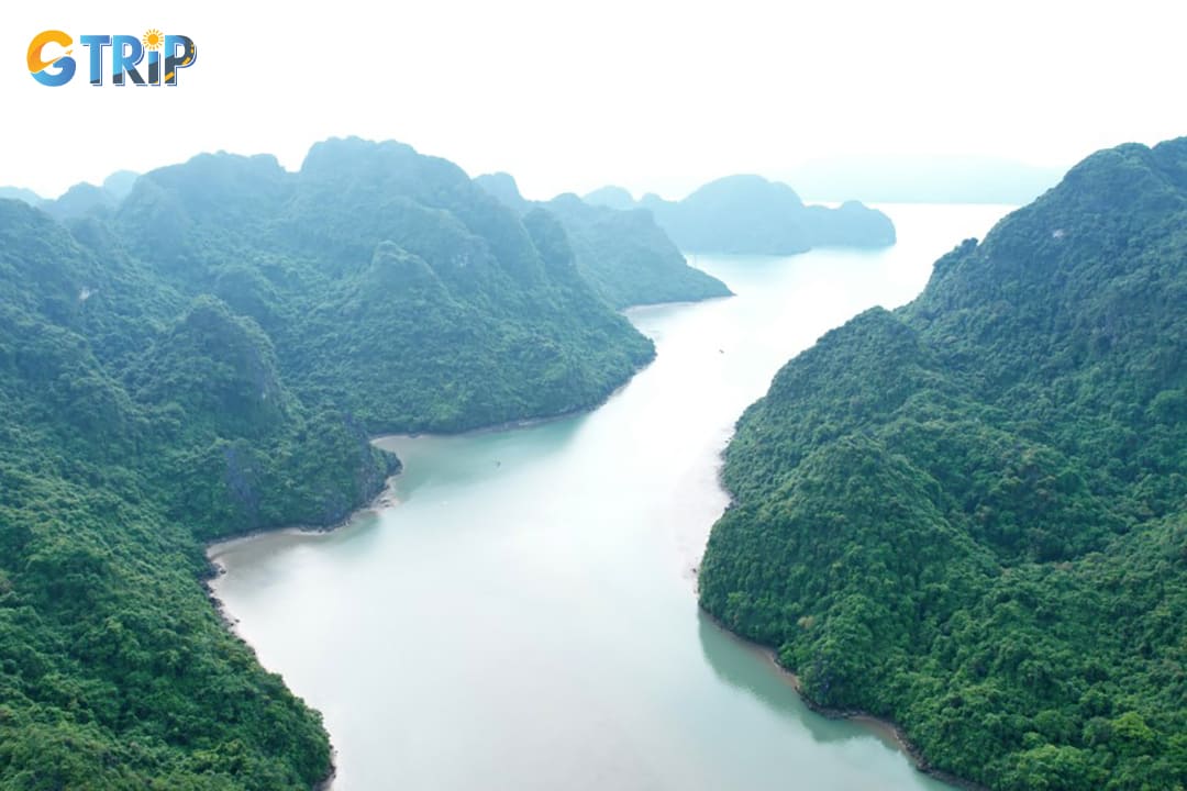 Tra Ngo Island is a paradise for nature lovers and researchers