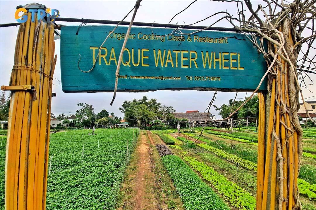 Tra Que Herb Village is a tranquil escape near Hoi An, where fragrant herbs and time-honored farming reflect Vietnam’s rich culinary and agricultural traditions