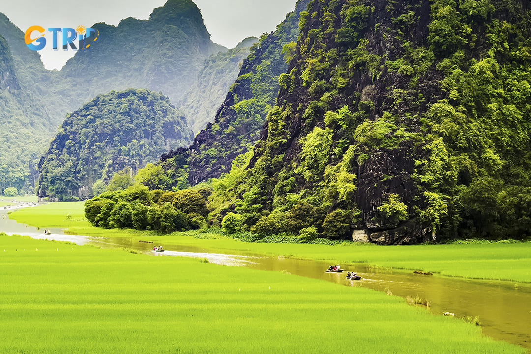 Tropical forests and rivers surrounding Trang An