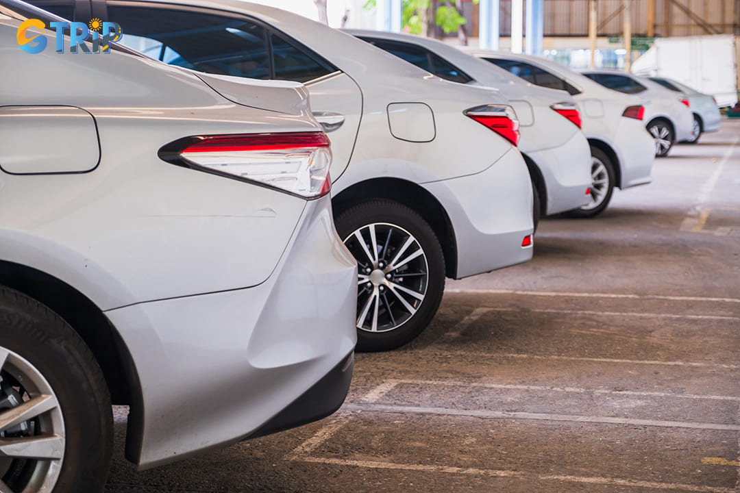 Trang Minh has built a solid reputation for reliability and competitive pricing