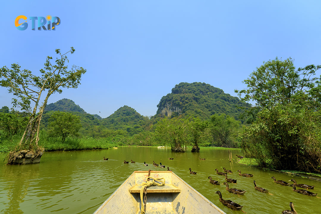 Experience boat when visit Thung Nham 