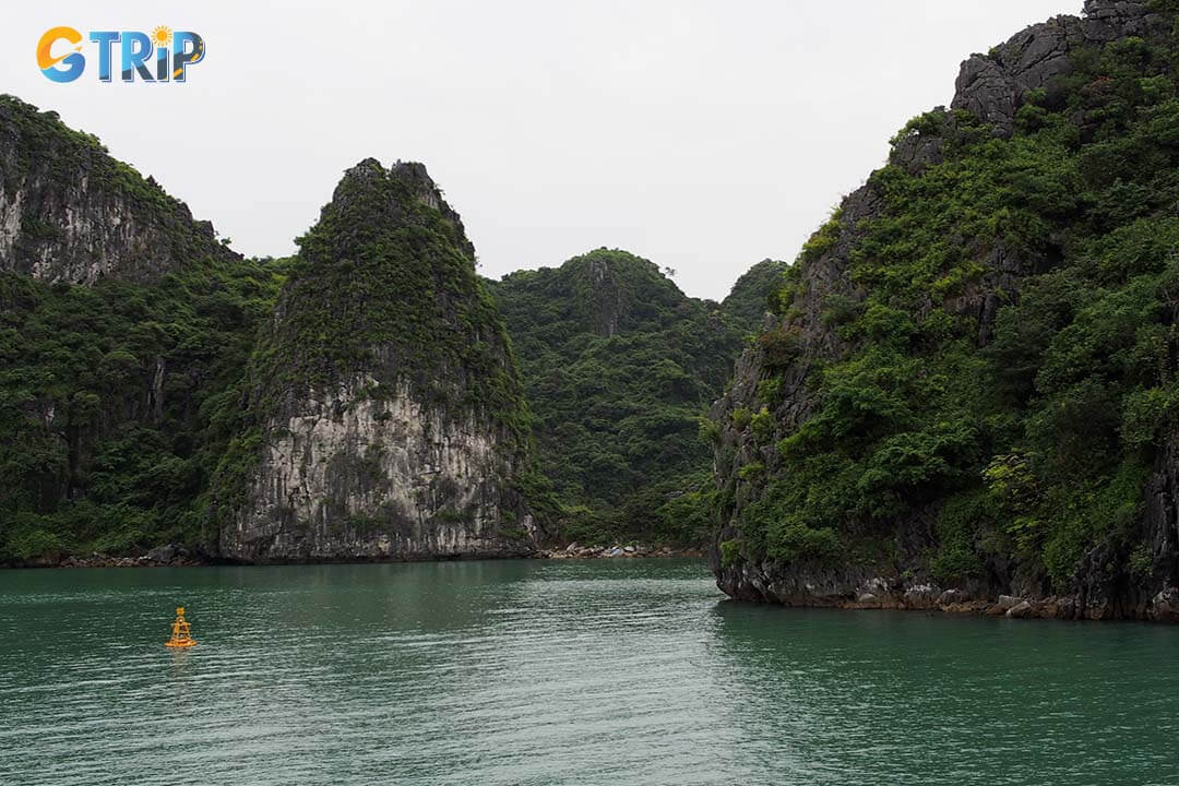 Traveling from Hanoi to Ha Long on a budget is easy, with several affordable options available