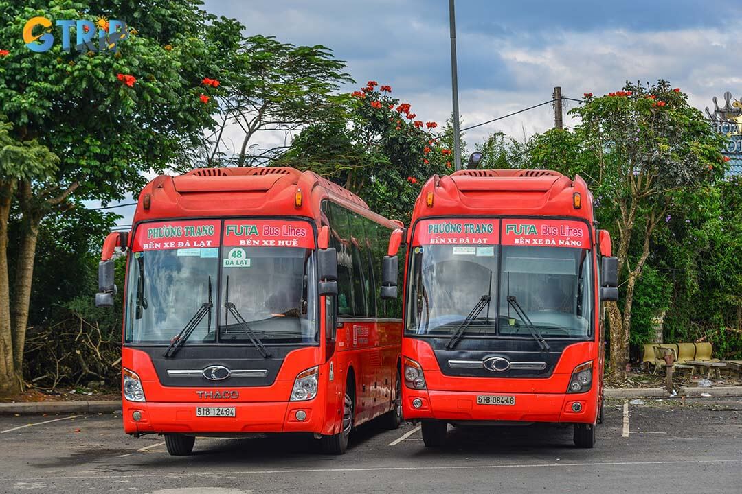 Travelling to Cua Ong Temple by Phuong Trang (Futa Bus)