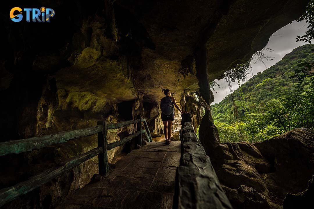 Cat Ba National Park offers diverse trekking trails with opportunities to see wildlife and enjoy panoramic views