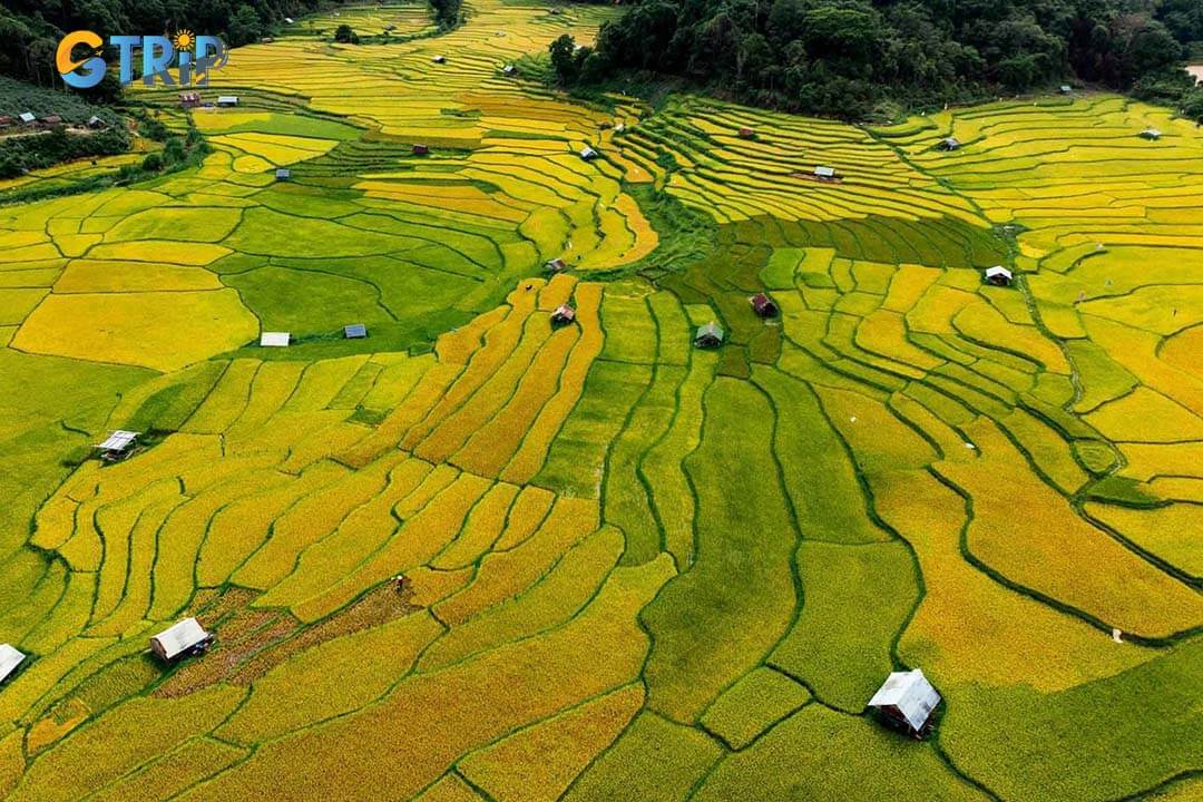 Trek through the lush terraced rice fields of Kon Tu Rang for stunning views and a glimpse into Xo Dang agricultural life