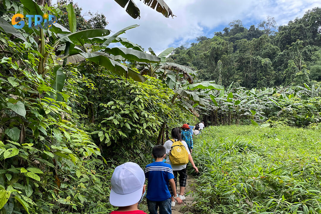 Trekking and hiking in Cuc Phuong National Park