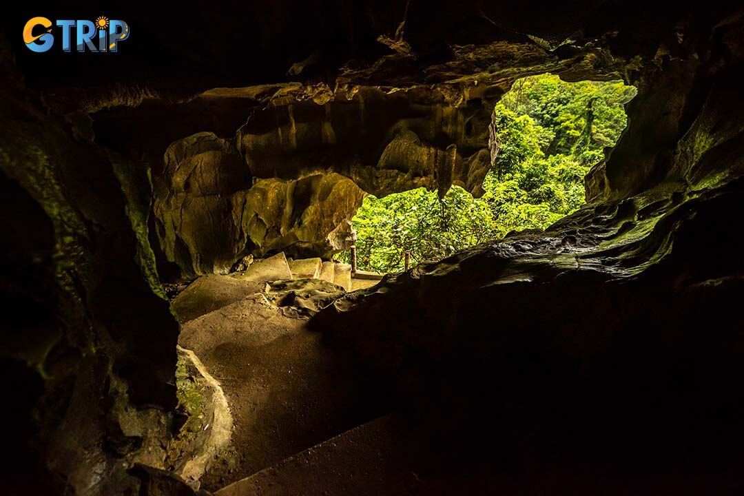 Trung Trang Cave, formed over millions of years by water erosion, features intricate limestone formations and vast chambers, showcasing Earth's natural artistry