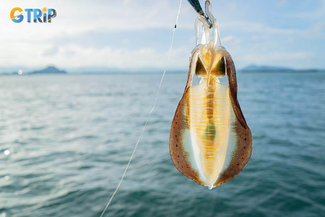 Try night squid fishing on Cai Chien Island, where you can catch squid using traditional methods under bright lights