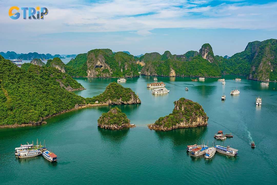 A view of Tuan Chau Beach with many yachts