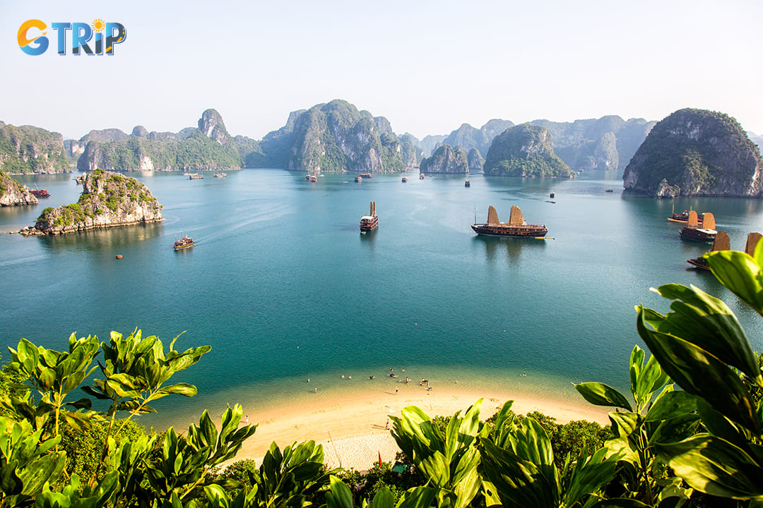 Understanding the best transport options is essential to maximize your time in Ha Long Bay