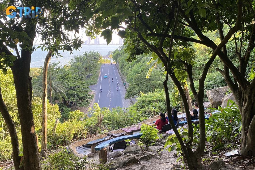 Unwind at Cafe Du Musee, a tranquil open-air cafe nestled among the trees, where you can enjoy a coffee or tea with peaceful forest views stretching toward the sea