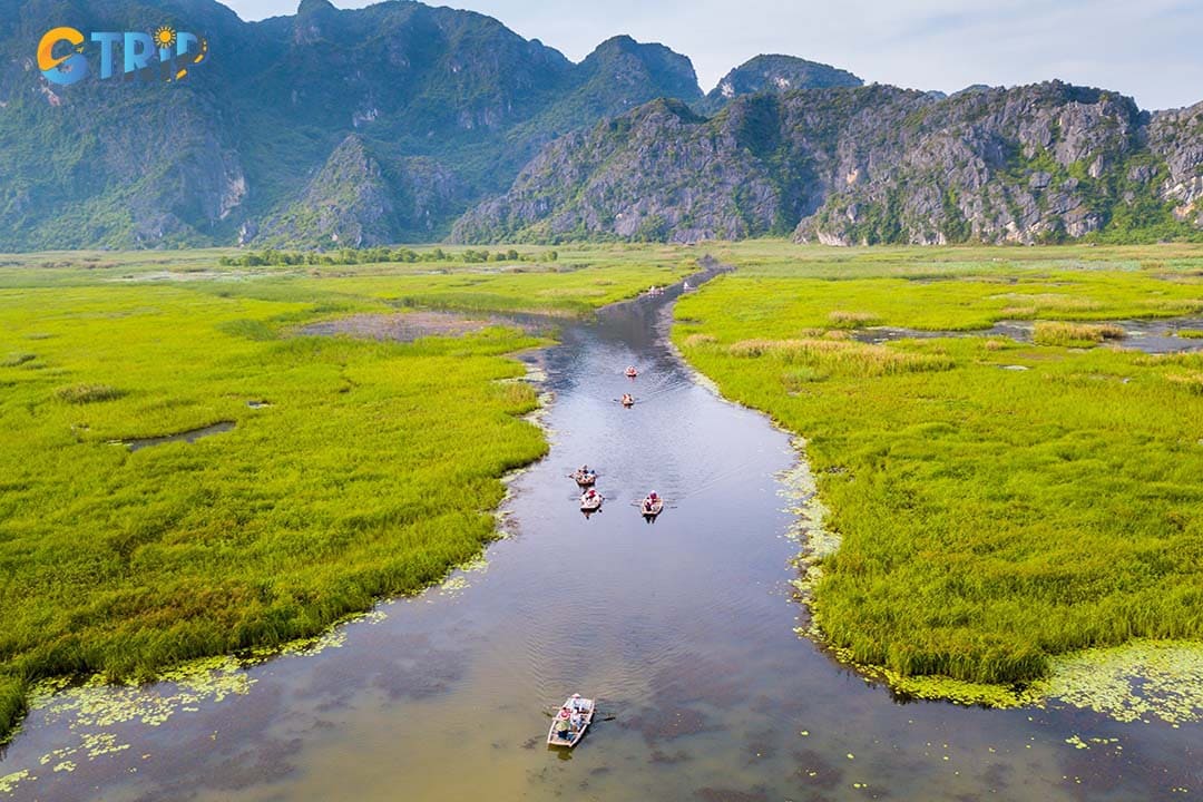 Van Long Nature Reserve features unique wetland rice farming surrounded by limestone peaks and diverse wildlife