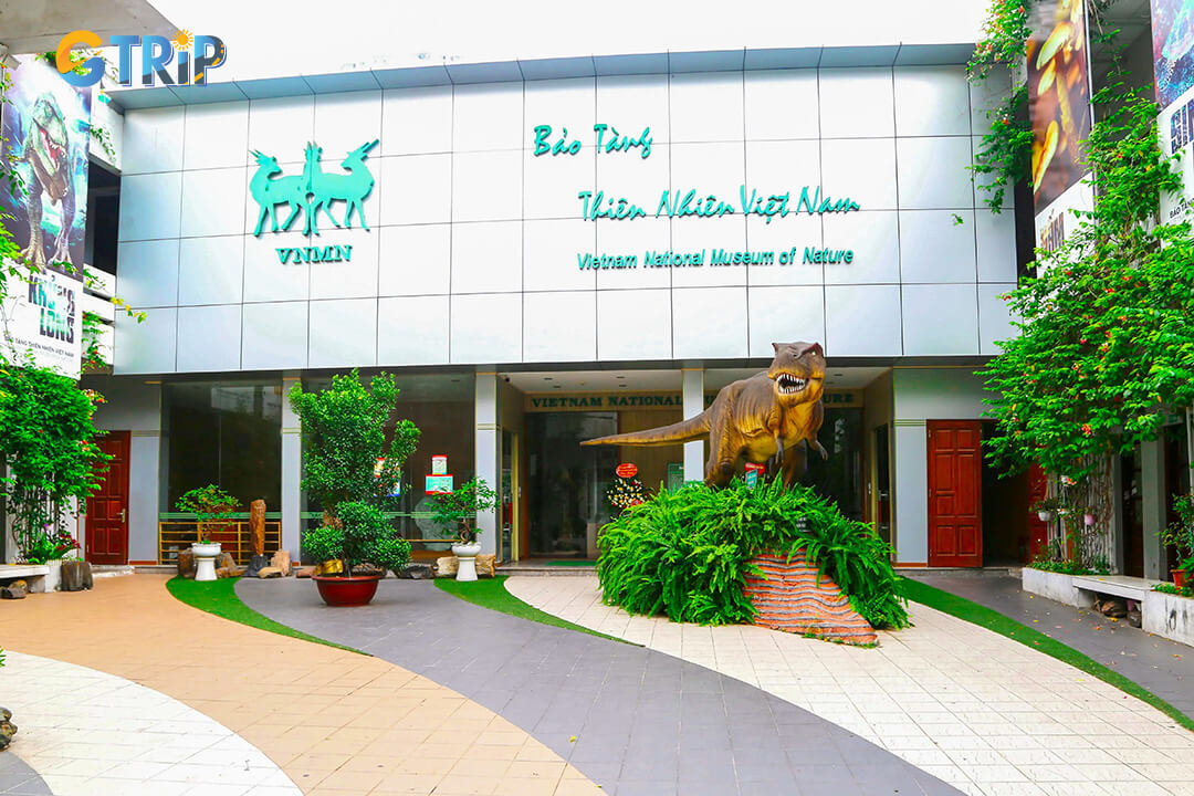 Vietnam National Museum of Nature, home to over 1,400 specimens, interactive exhibits, and free admission in Hanoi’s Cau Giay District