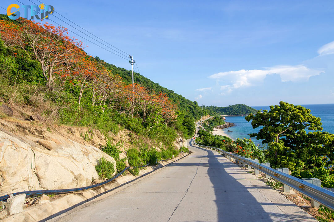 Visit in July-August to see vibrant Ngo Dong flowers bloom, adding striking red hues to Cham Islands’ coastal scenery