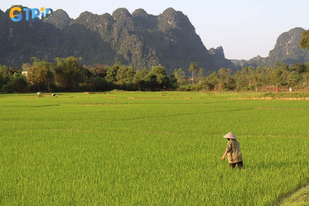 Visit villages and join tours to experience local farming, witness rice cultivation, and cook with freshly harvested grains while connecting with the region’s heritage