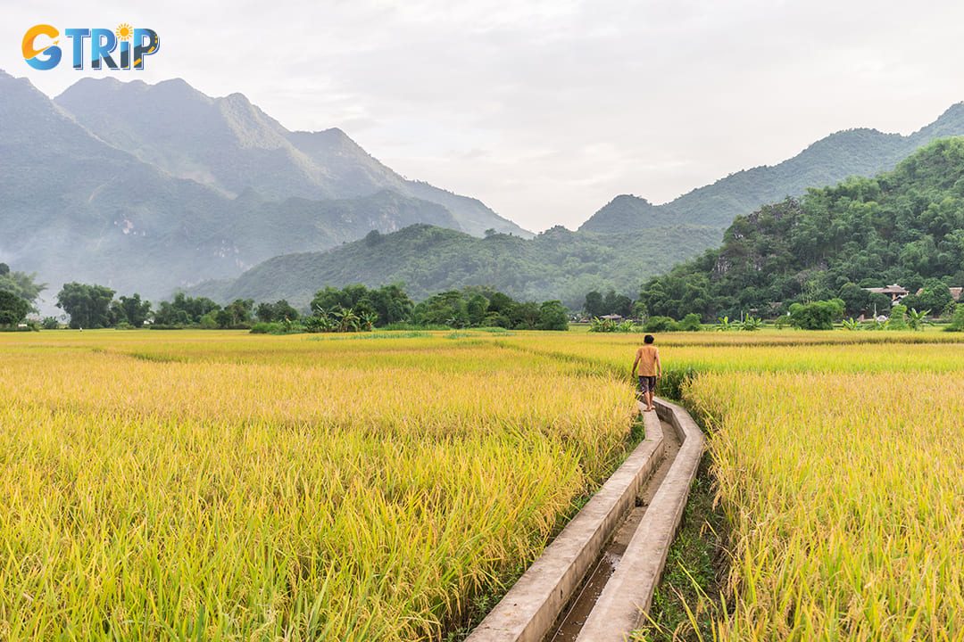 Visiting Lac Village in Mai Chau can be both enriching and impactful when approached thoughtfully