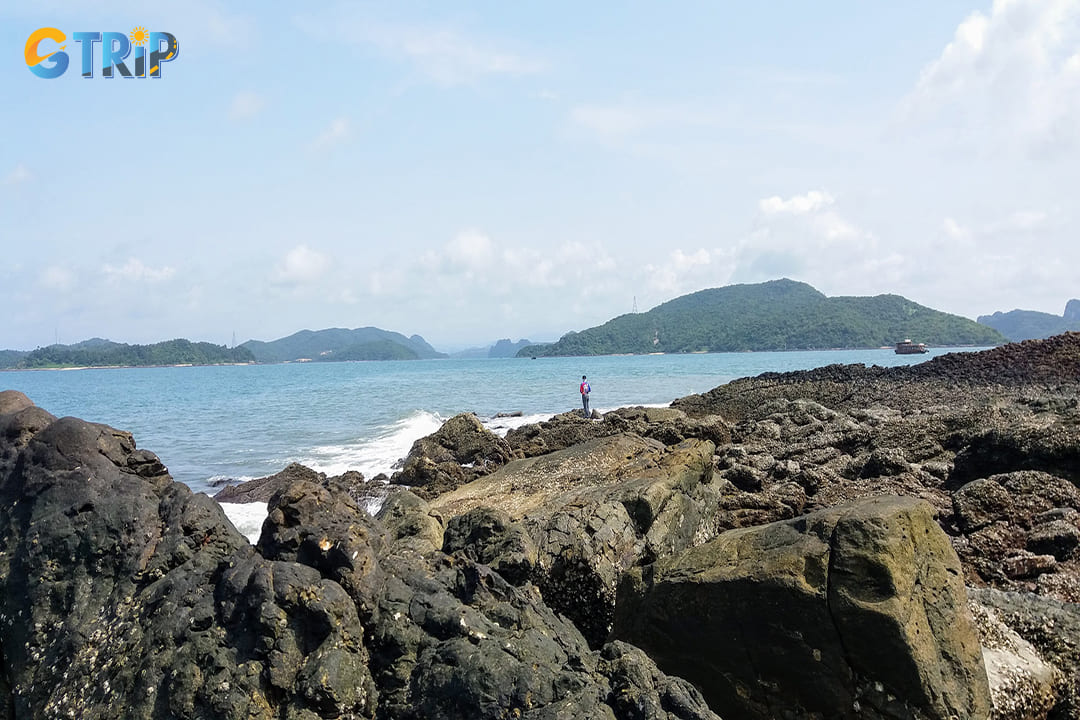 Visiting Ngoc Vung Island as a day trip is feasible if you plan your schedule carefully