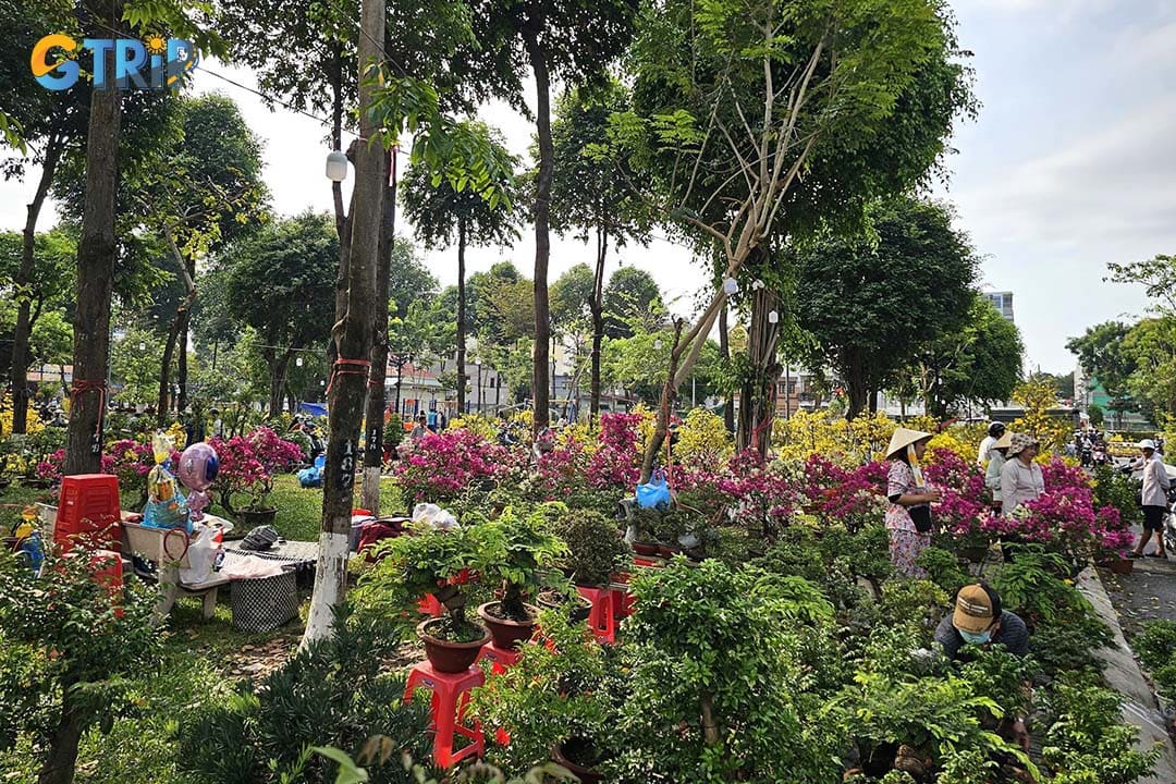 Visiting the flower village in former Go Vap District during Tet holiday is very vibrant