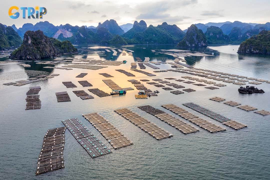 Vung Vieng Fishing Village immerses visitors in traditional fishing life, highlighting eco-friendly practices and cultural activities that reflect the village's harmony with nature