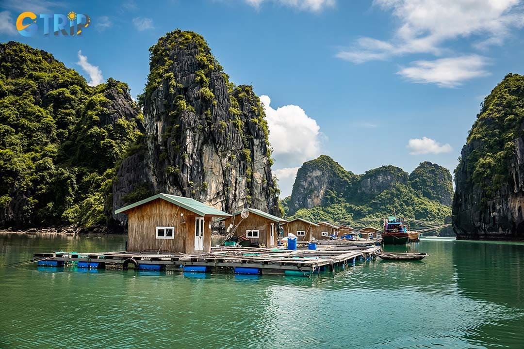 Vung Vieng Floating Village offers a serene escape with emerald waters, limestone karsts