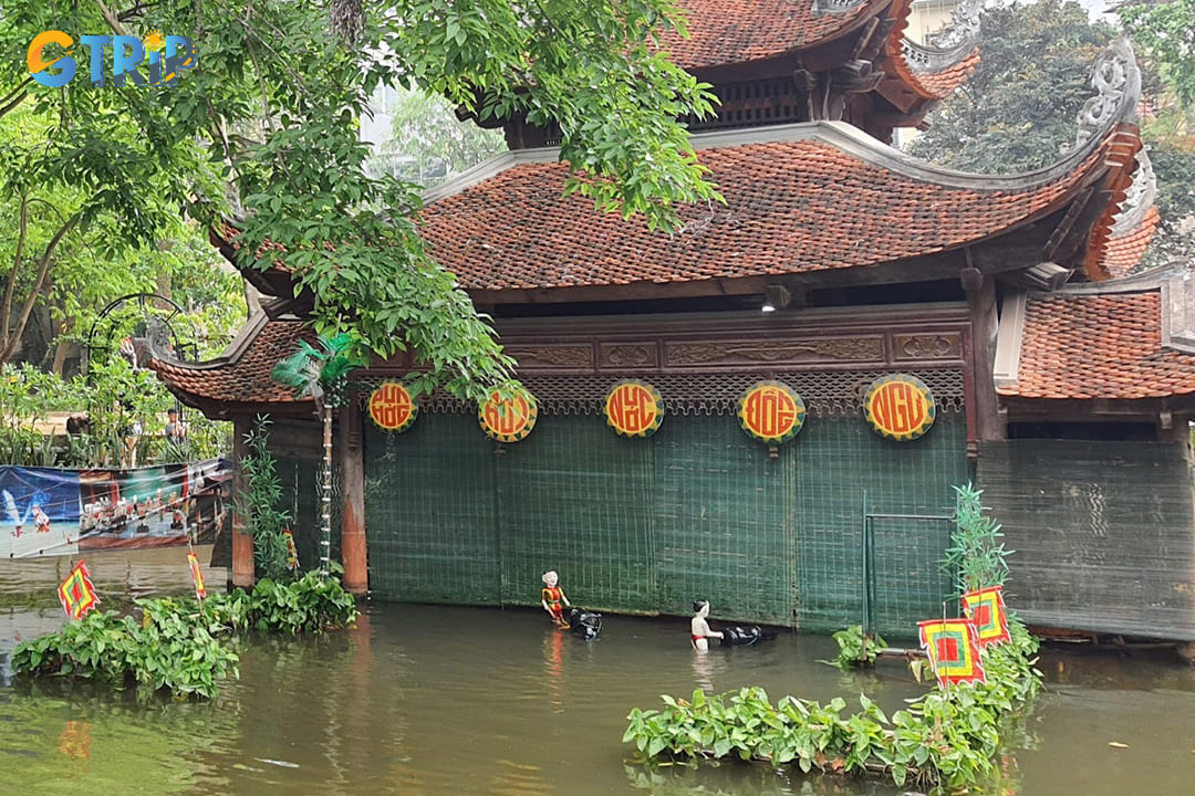 Water puppetry represents one of Vietnam's most distinctive traditional art forms, and the museum offers regular weekend performances of this enchanting cultural spectacle