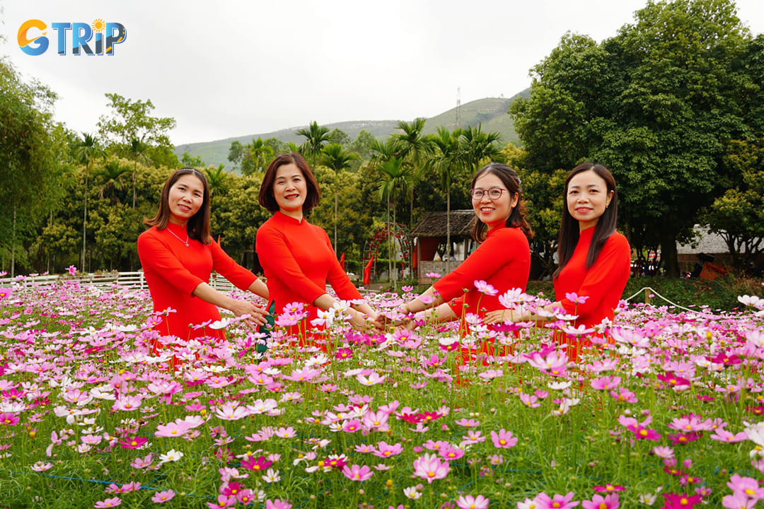 When it comes to Yen Tu flower photography, make sure to time your visit during the peak flower blooming season