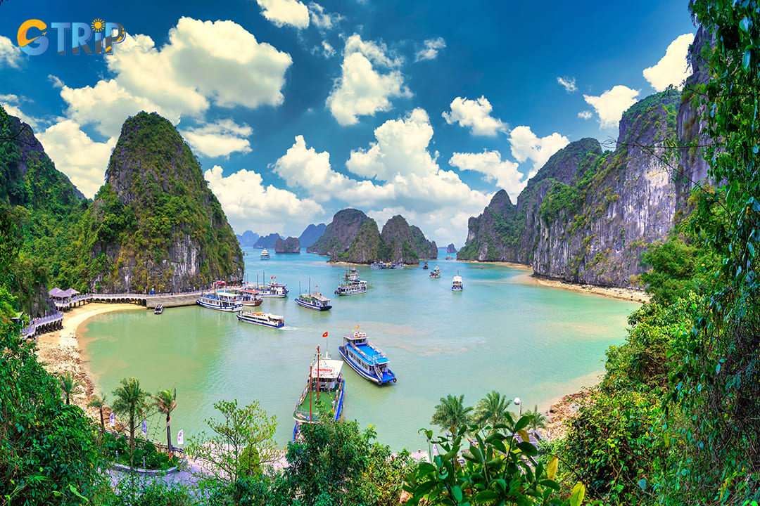 When visiting Ha Long Bay in March, it's a prime opportunity for photography thanks to clear skies and optimal lighting conditions