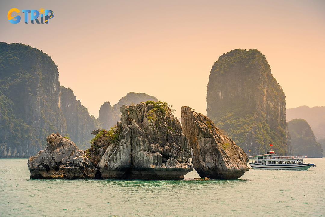 You can also take a kayak to the nearby Fighting Cock Islets