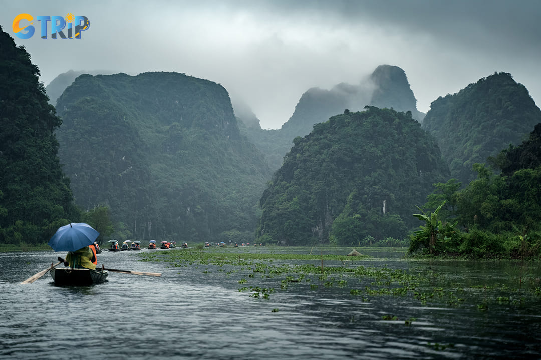 You can experience the rainy season in Ninh Binh in June