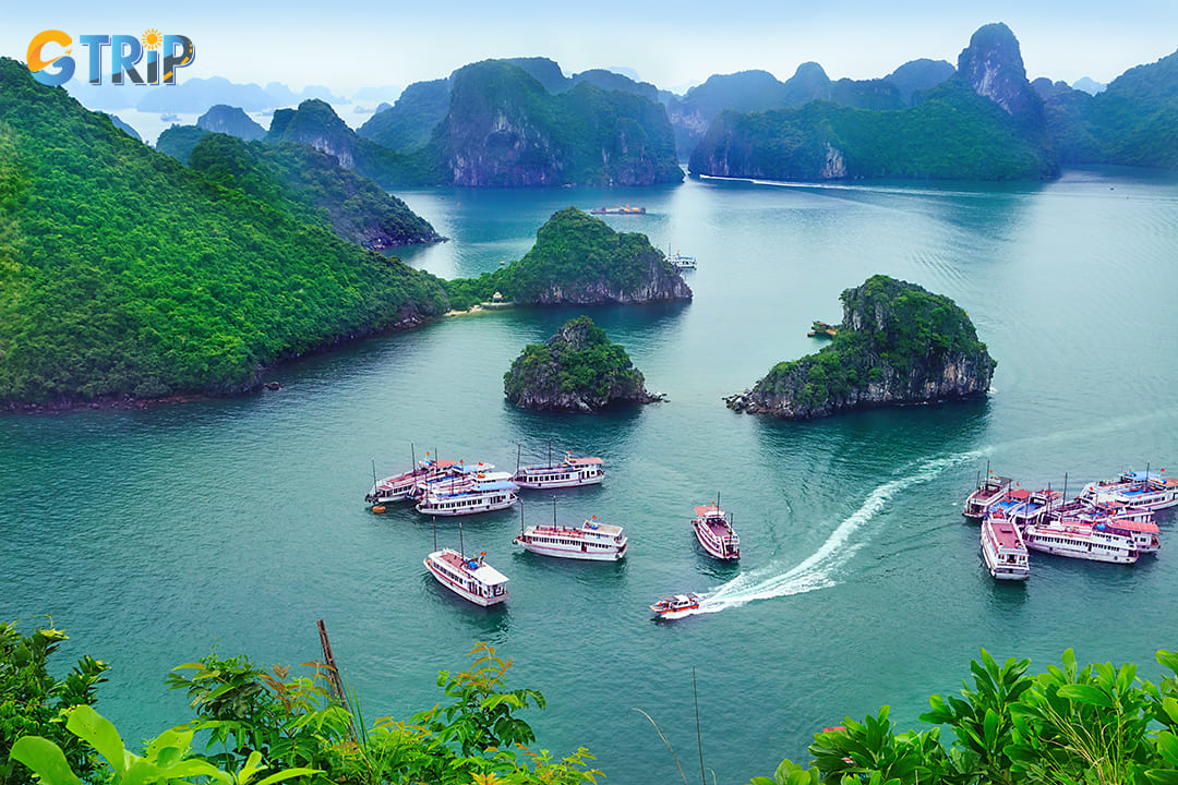 You can get to Ha Long Bay by many transportation