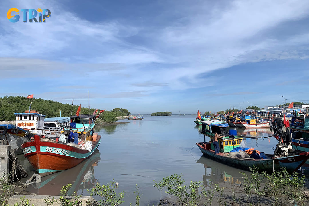 You can get to Thieng Lieng Island by motorbike or car and then take a short boat ride to the island