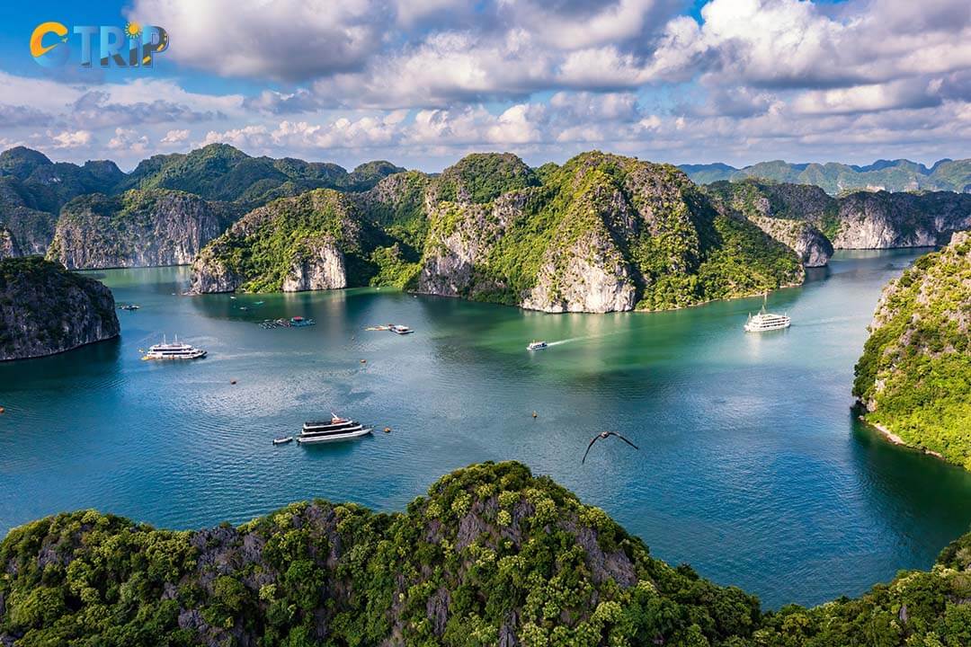 You can make your journey from Ninh Binh to Ha Long Bay more eco-friendly by adopting sustainable practices and making mindful travel choices