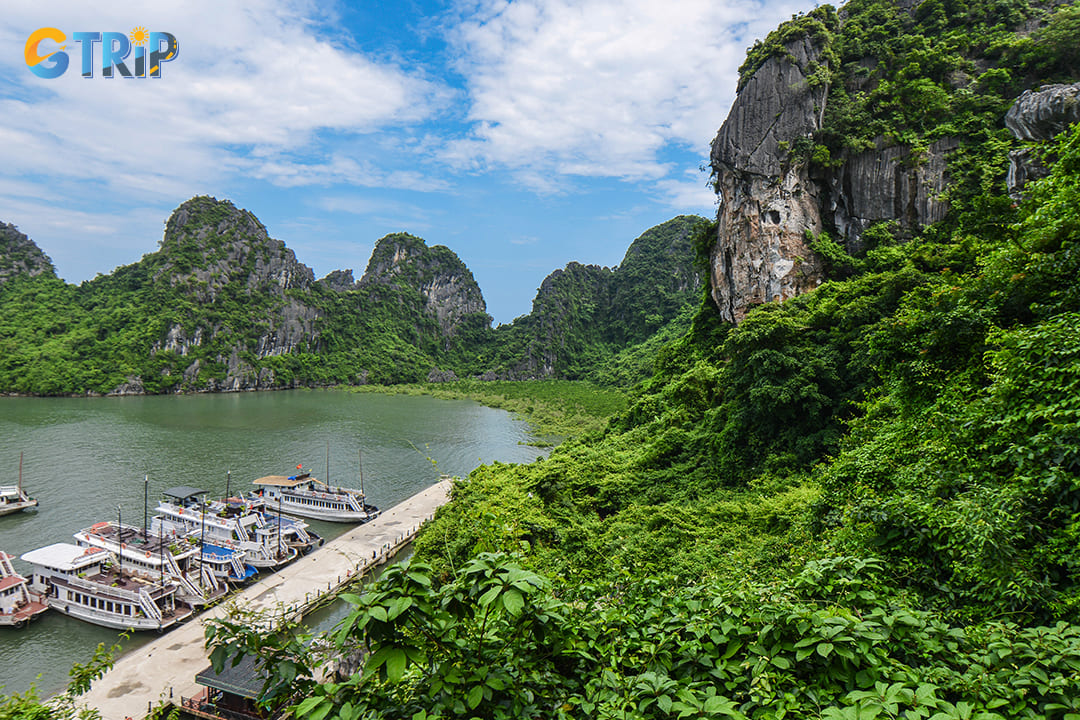 You can reach Me Cung Cave by boat