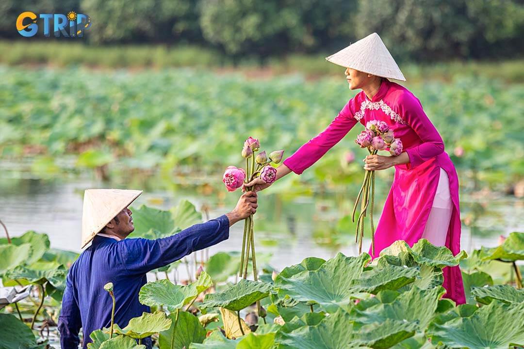 You can take a boat ride and see lotus flowers in Van Long Lagoon