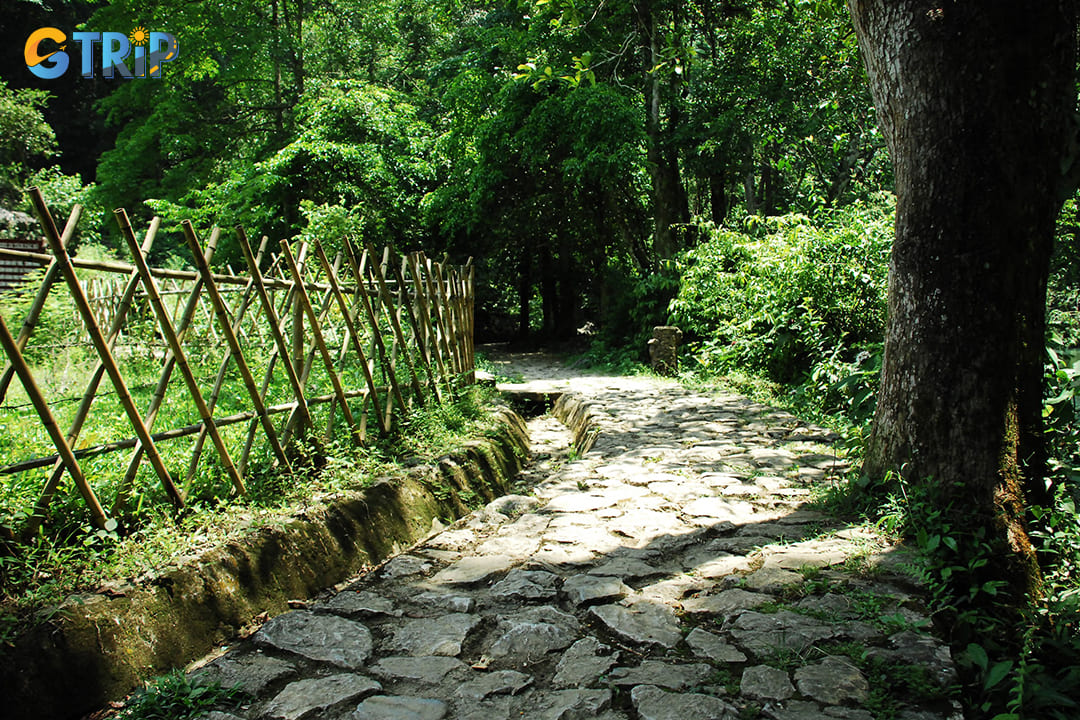 You can take a leisurely walk along the stream, visit Pac Bo Cave, and explore the Diem Tieu Cave