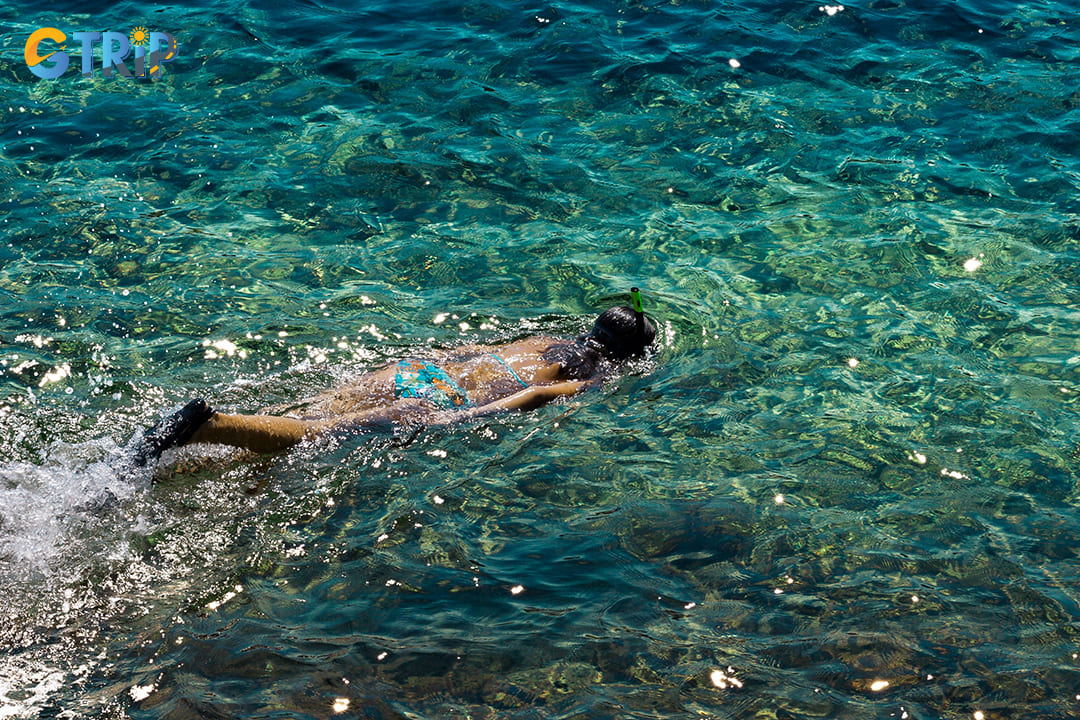 You can try snorkeling areas to observe the marine life of Ha Long Bay