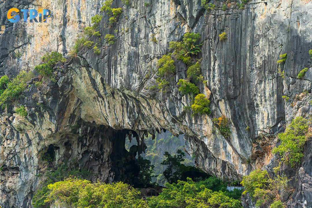 You should adhere to any signs or instructions to protect the caves' delicate ecosystems