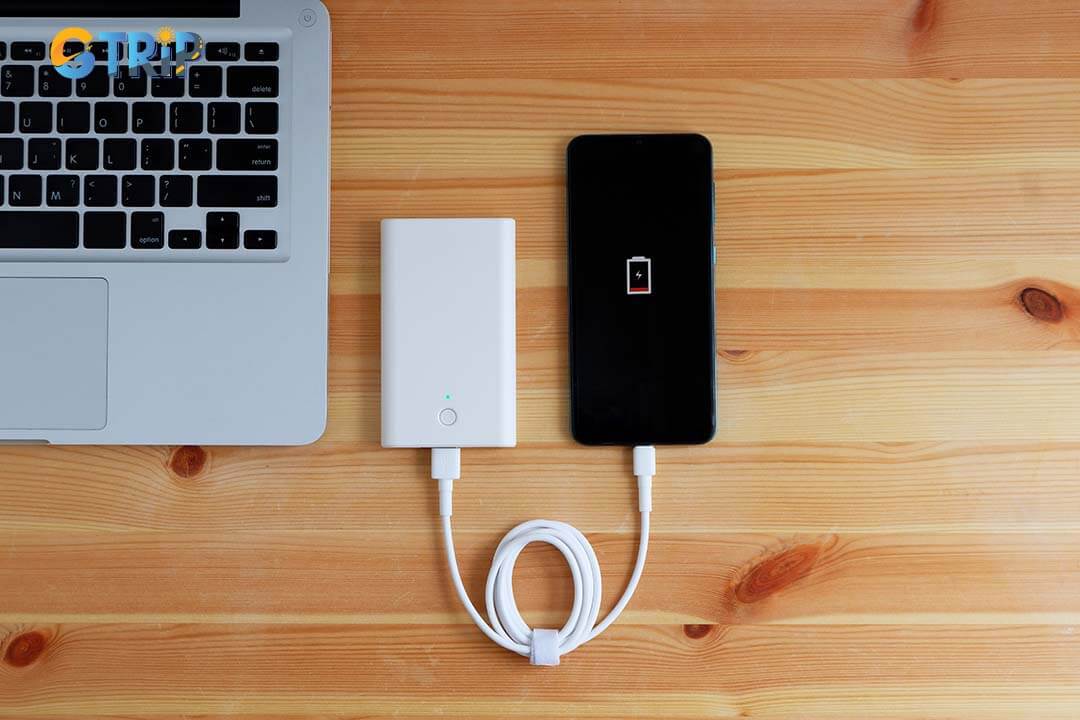 You should bring the charger and multi-device USB charger