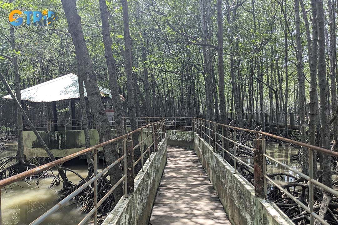 You should experience walking along the jungle paths in Sac Forest War Base