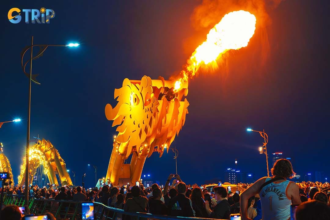 You should not miss the fire and water show of the Dragon Bridge, just a 15-minute drive from the port