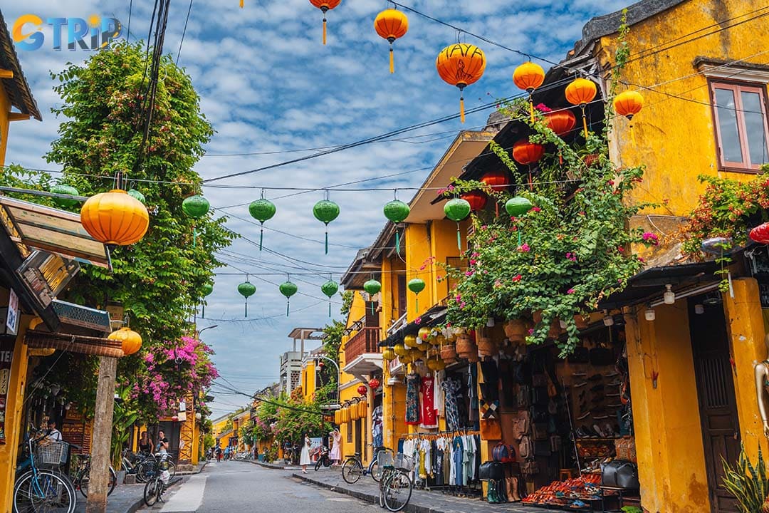 You should walk a short distance from the park to get to the Hoi An Ancient Town