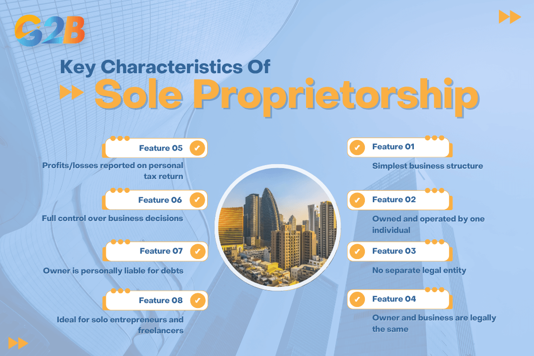 A Sole Proprietorship has 8 main characteristics
