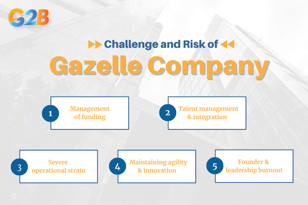 Challenge and risk when becoming a gazelle company