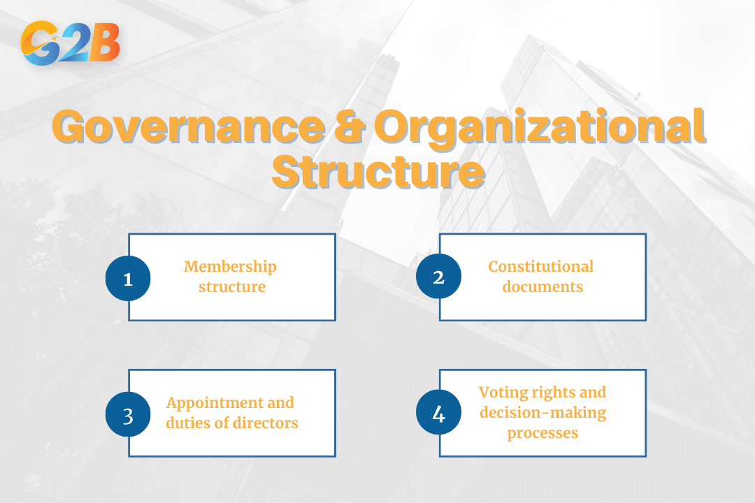 Governance and organizational structure