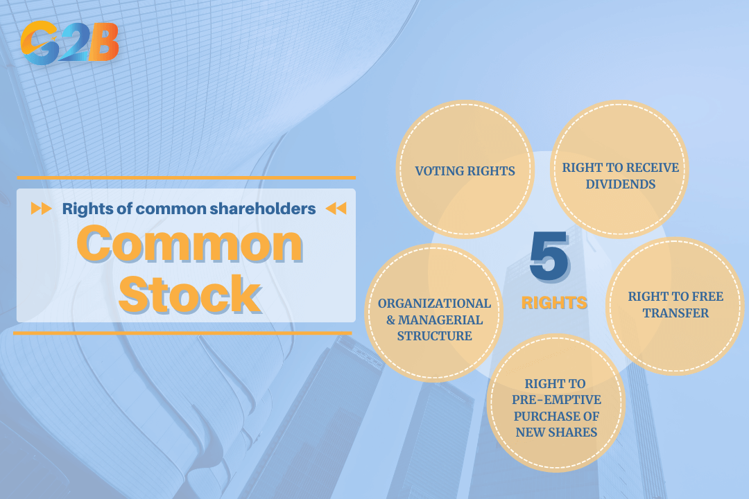 Holding common stock provides key shareholder rights