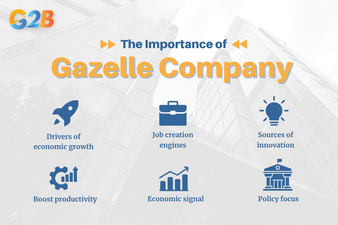 Importance and impact of gazelle companies