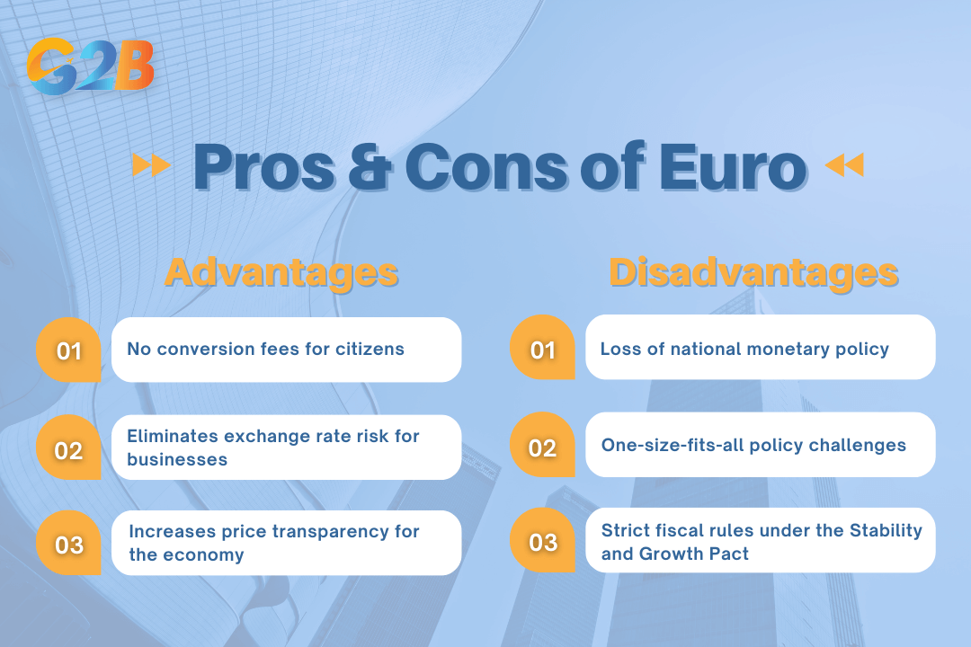 The Euro has significant economic benefits and unique challenges